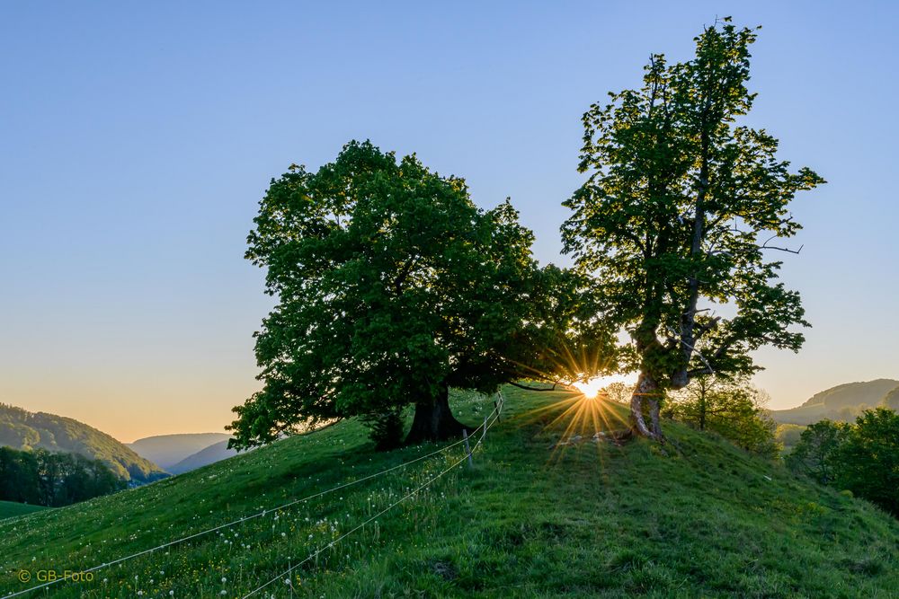 Sonnenaufgang im Oberbaselbiet