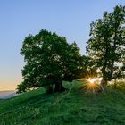 Sonnenaufgang im Oberbaselbiet