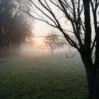 Sonnenaufgang im Obstgarten 01