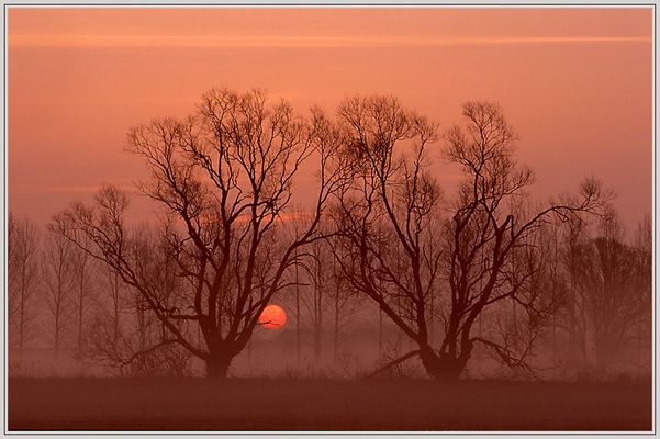 Sonnenaufgang im Ochsenbruch