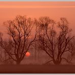 Sonnenaufgang im Ochsenbruch