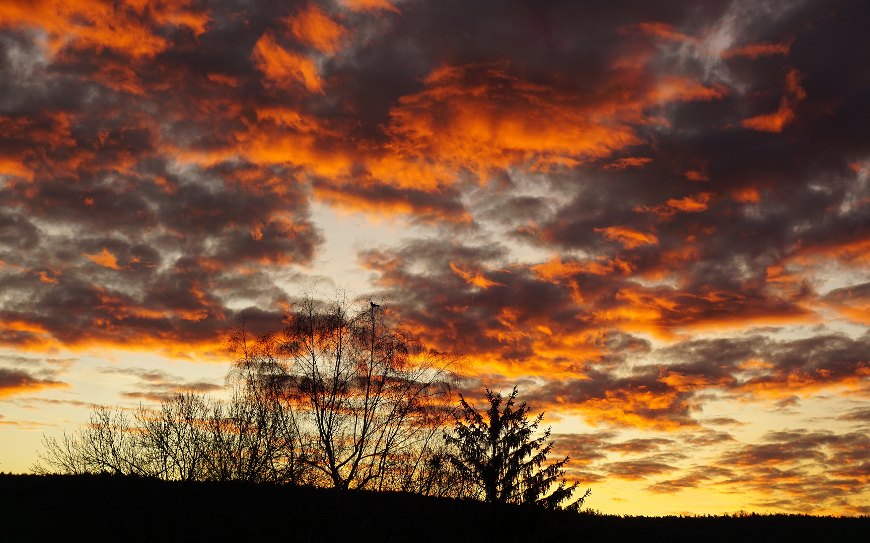 Sonnenaufgang im Odenwald