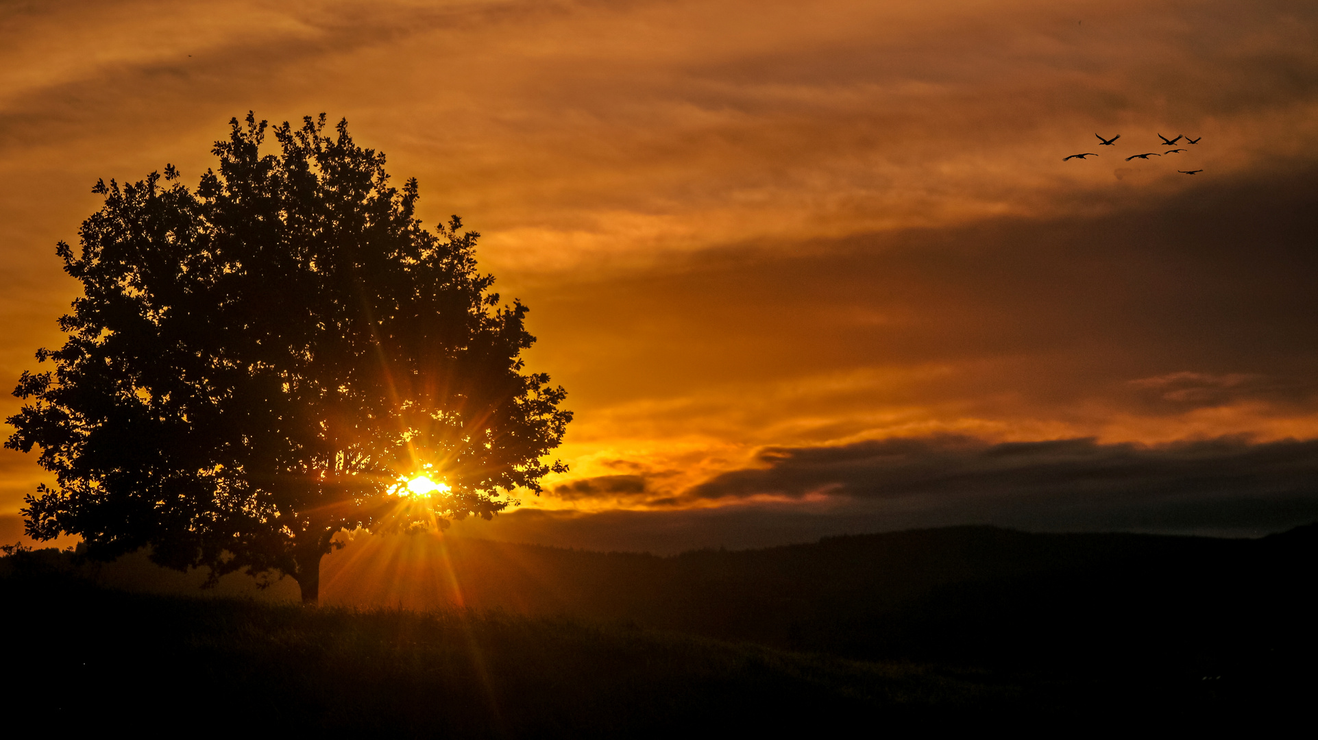 Sonnenaufgang im Odenwald