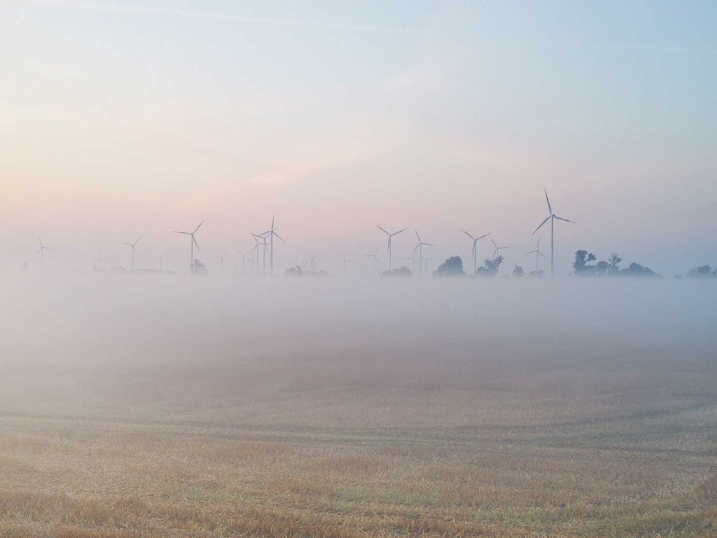 Sonnenaufgang im Oderbruch