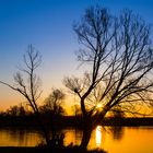 Sonnenaufgang im Oderbruch-Groß Neuendorf