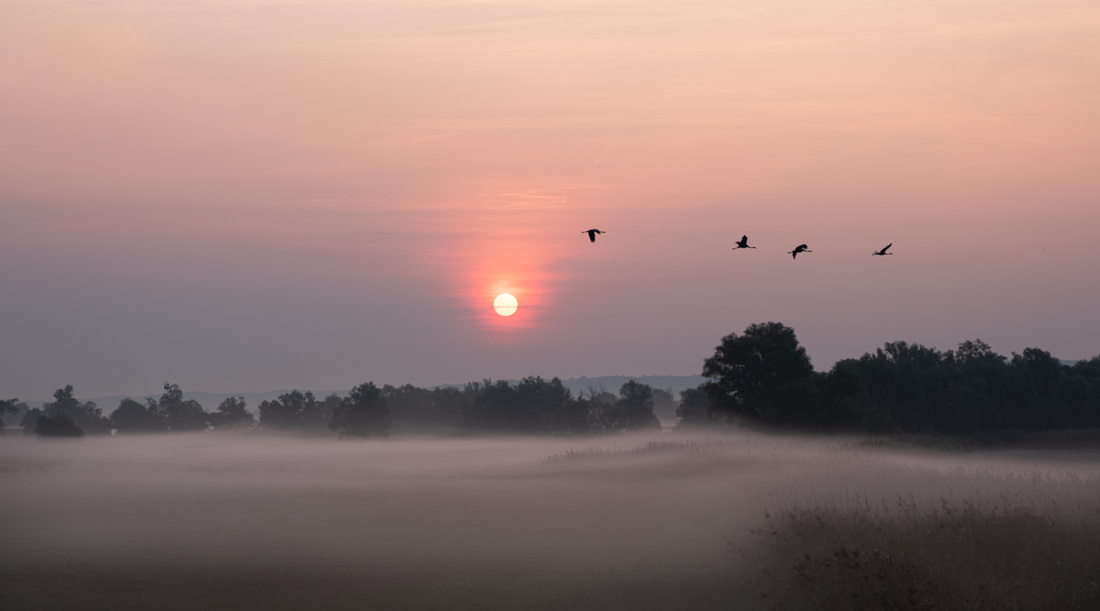 Sonnenaufgang im Odertal