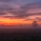 Sonnenaufgang im Oktober