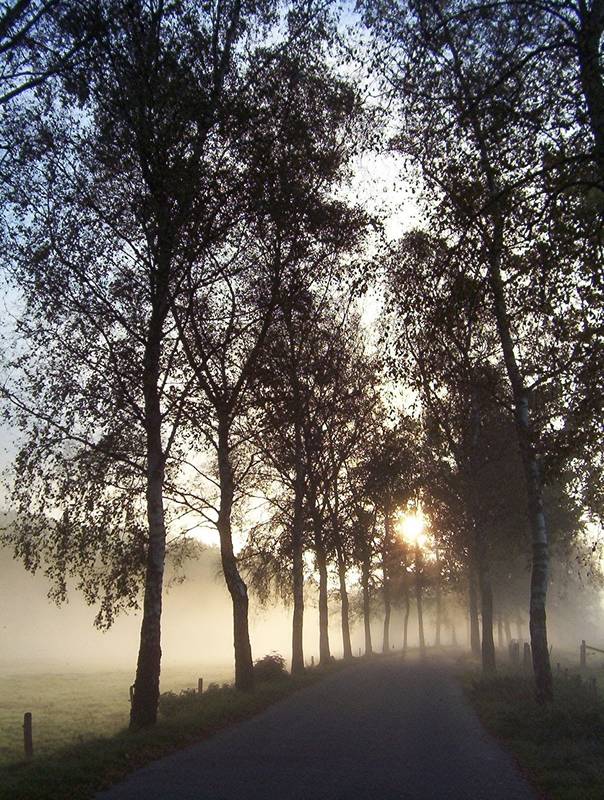 Sonnenaufgang im Oktober