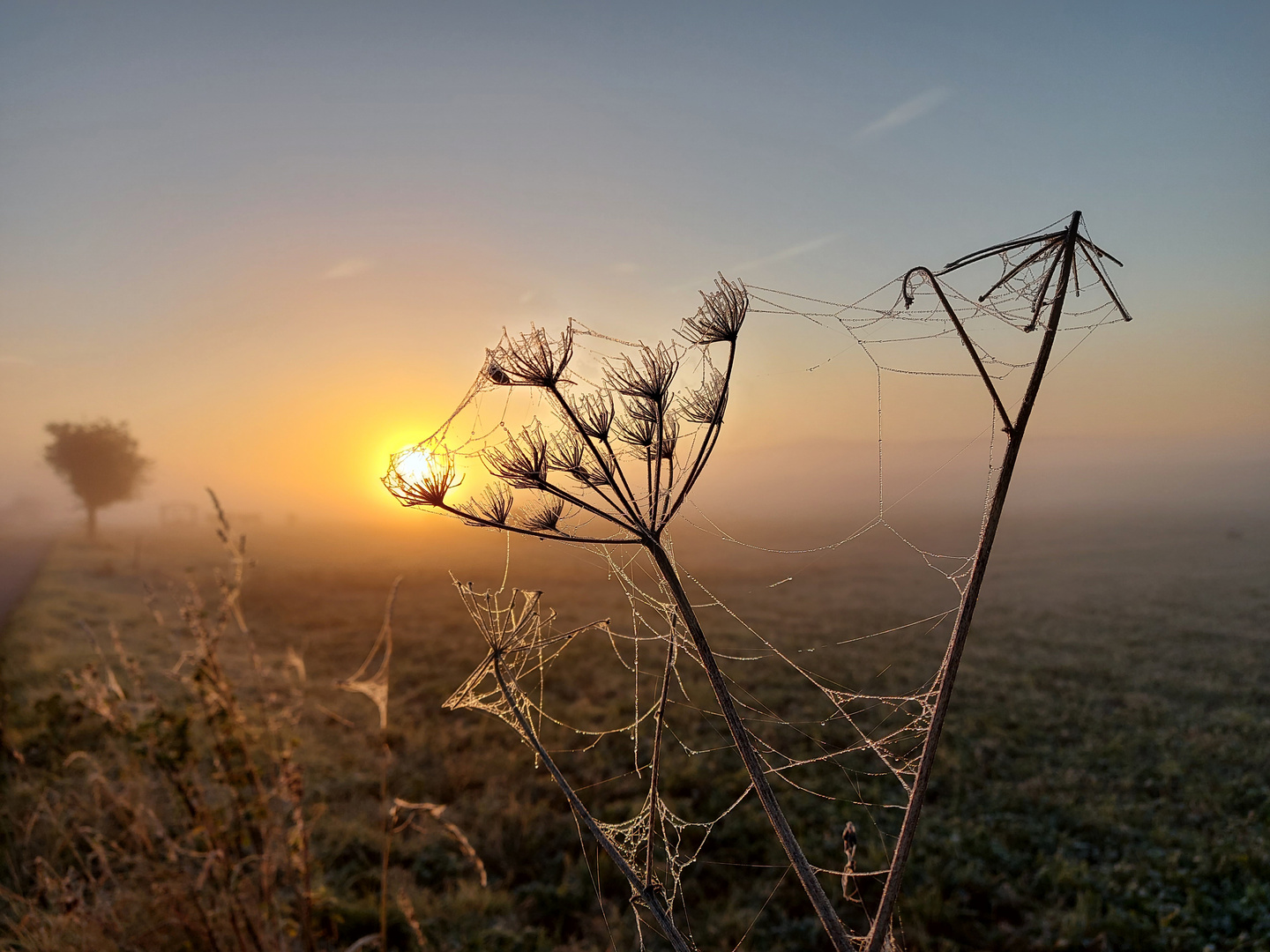 Sonnenaufgang im Oktober 