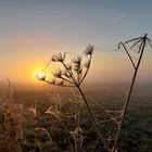 Sonnenaufgang im Oktober 