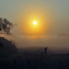 Sonnenaufgang im Oktober