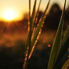 Sonnenaufgang im Oktober