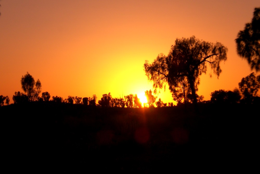 Sonnenaufgang im Outback