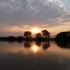 Sonnenaufgang im Pantanal