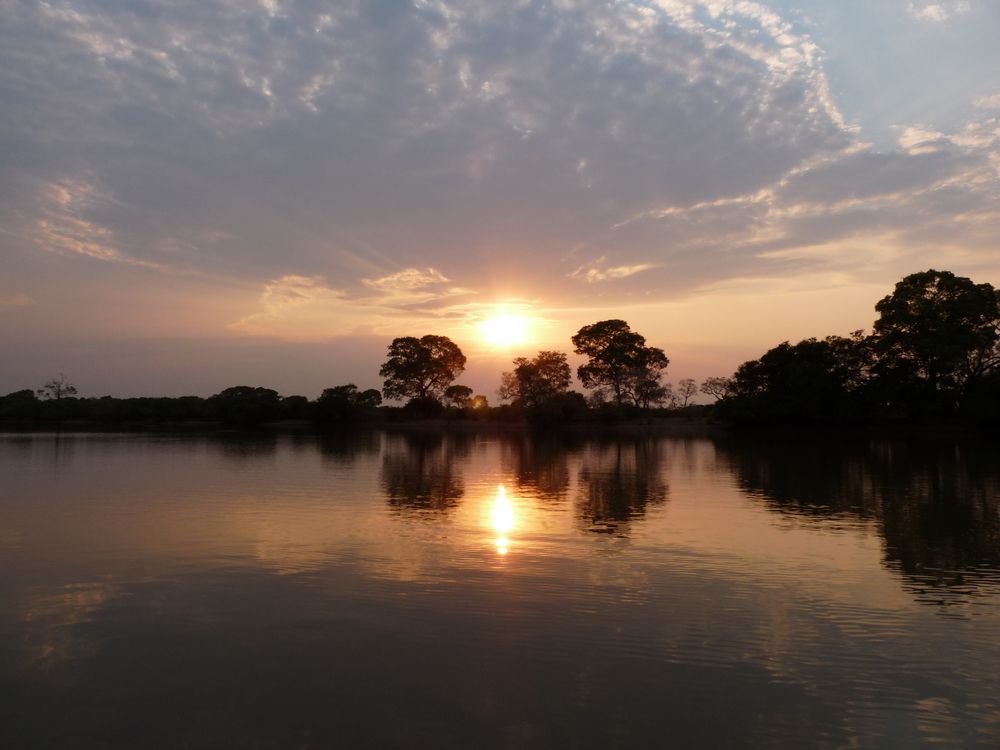 Sonnenaufgang im Pantanal