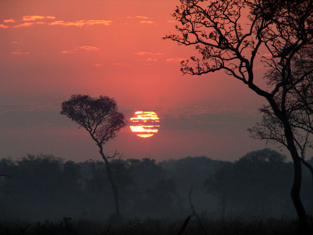 Sonnenaufgang im Pantanal