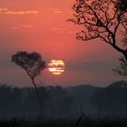 Sonnenaufgang im Pantanal