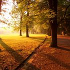 sonnenaufgang im park