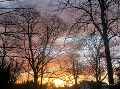 Sonnenaufgang im Park