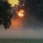 Sonnenaufgang im Park