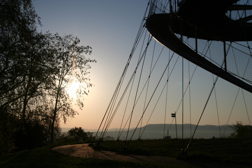 Sonnenaufgang im Park II