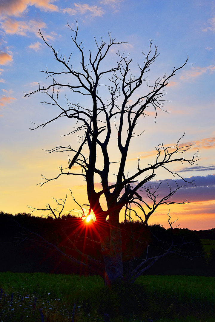 Sonnenaufgang im Périgord 02