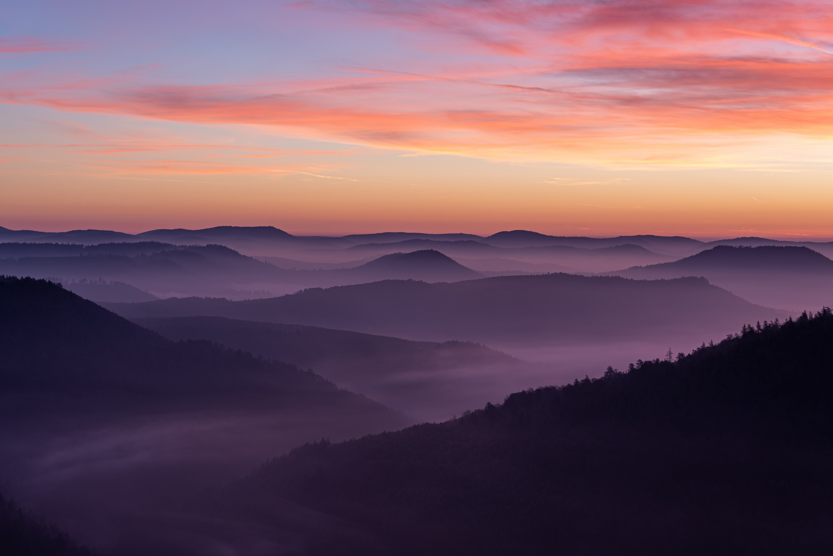 Sonnenaufgang im Pfälzer Wald