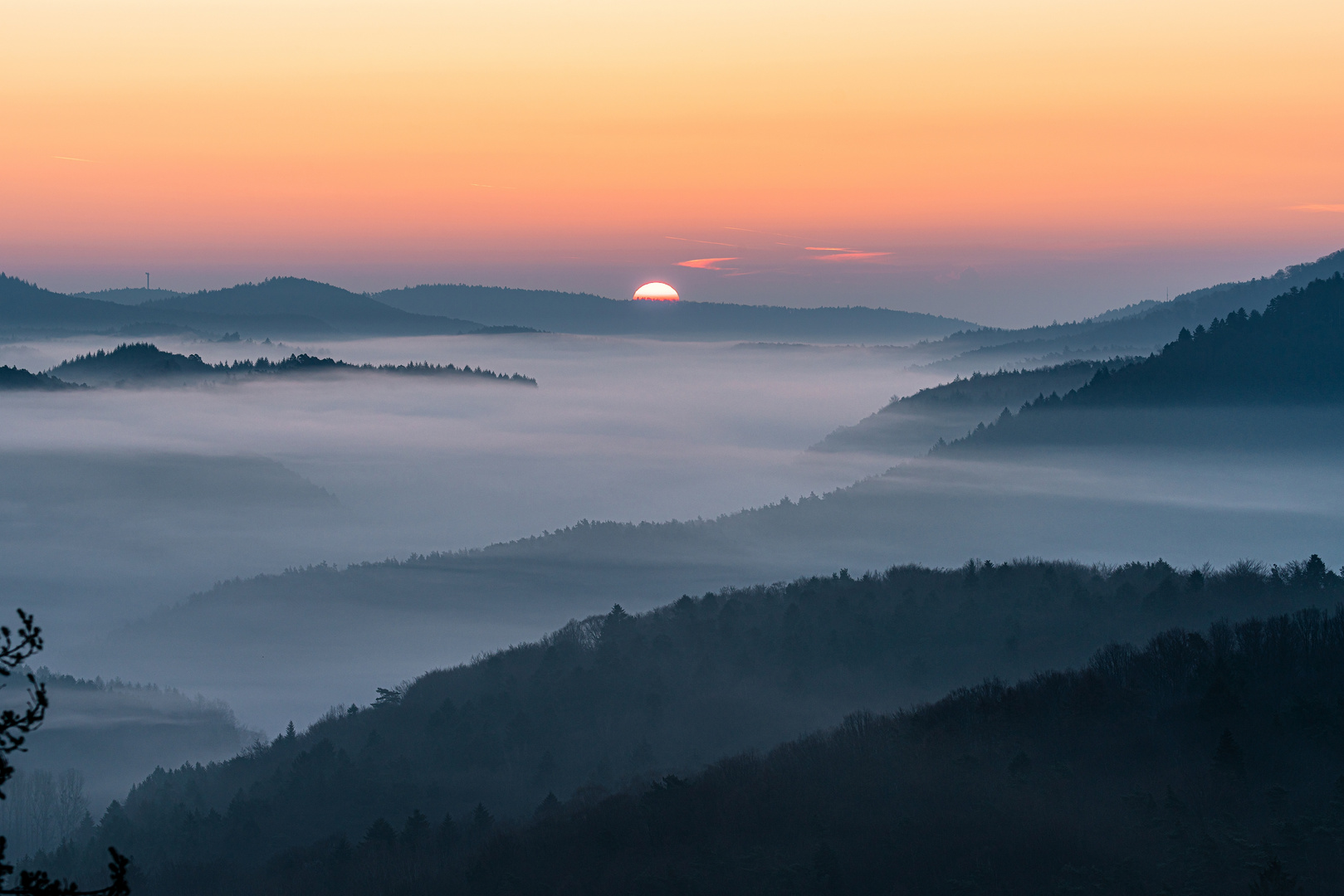 Sonnenaufgang im Pfälzerwald