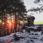 Sonnenaufgang im Pfälzerwald 