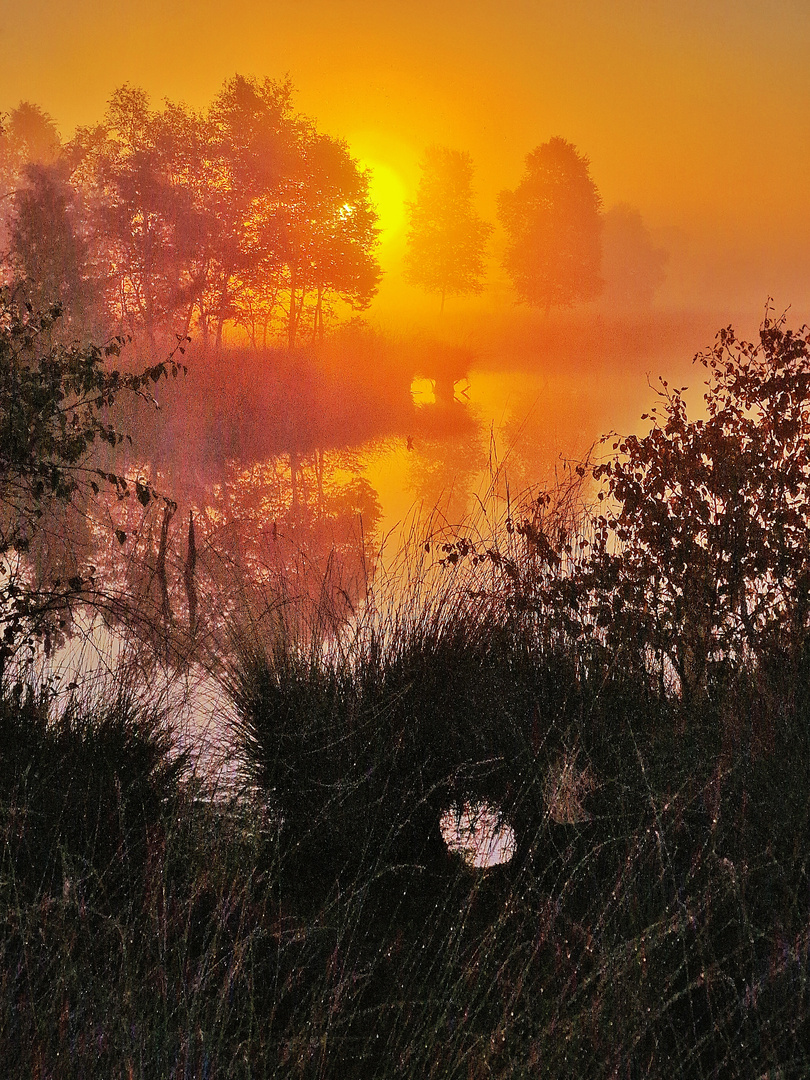 Sonnenaufgang im Pietzmoor