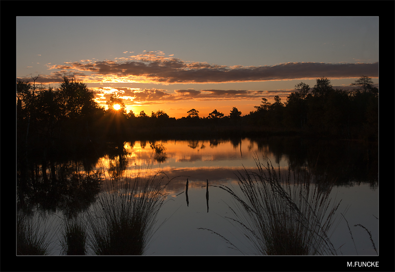 Sonnenaufgang im Pietzmoor