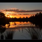 Sonnenaufgang im Pietzmoor