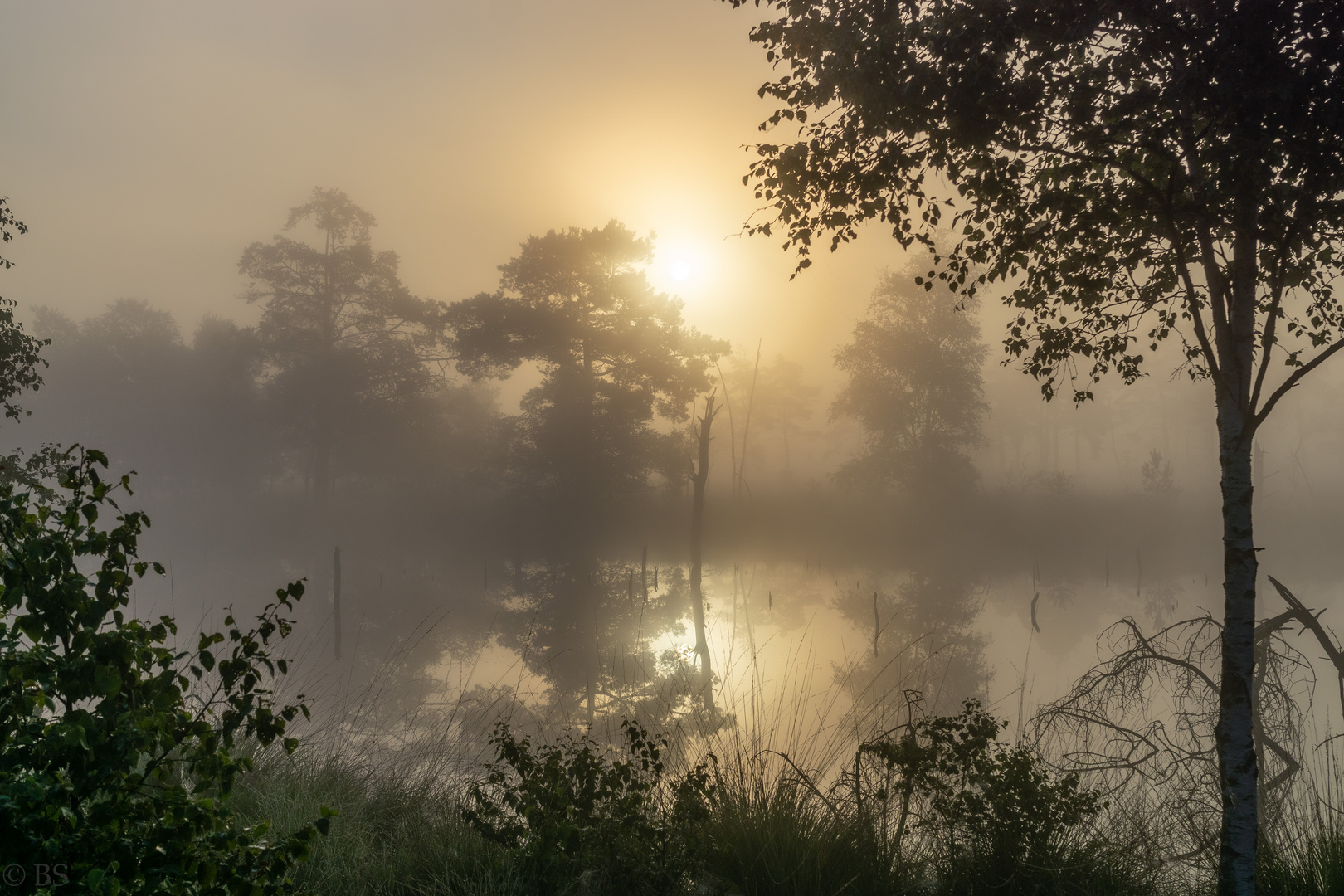 Sonnenaufgang im Pietzmoor