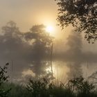 Sonnenaufgang im Pietzmoor