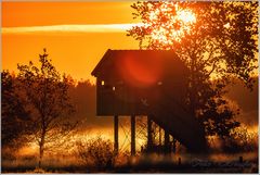 Sonnenaufgang im Recker Moor