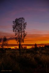 Sonnenaufgang im Red Center