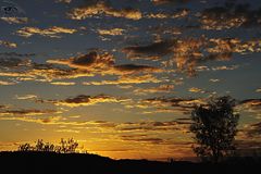 Sonnenaufgang im Red Center Australiens