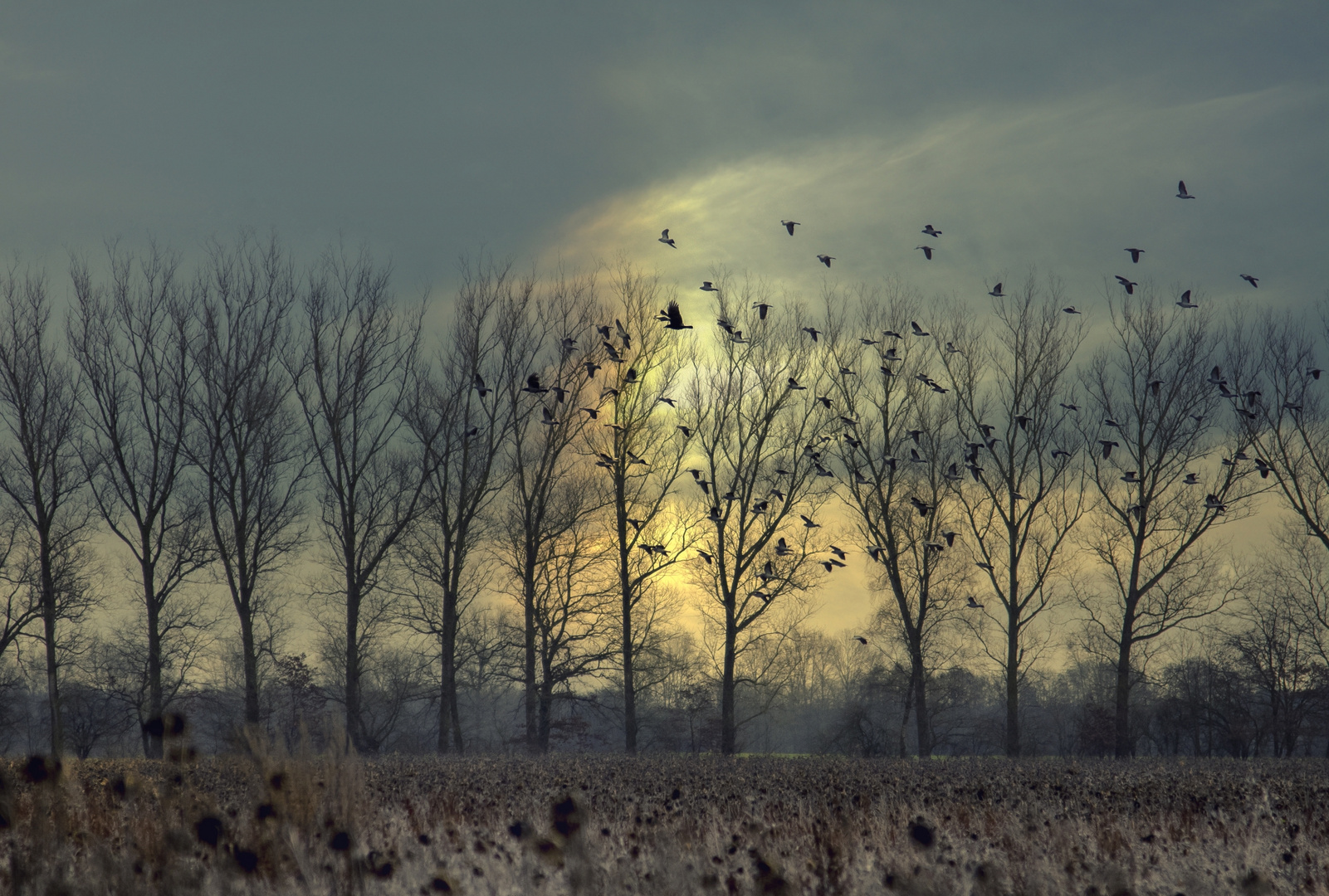 Sonnenaufgang im Regen