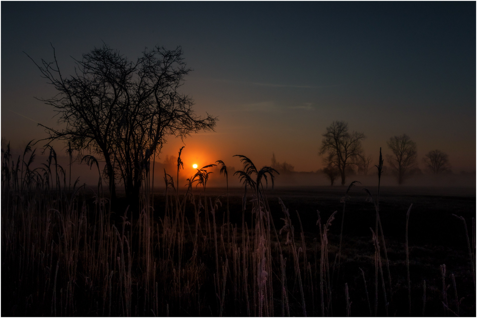 Sonnenaufgang im Ried