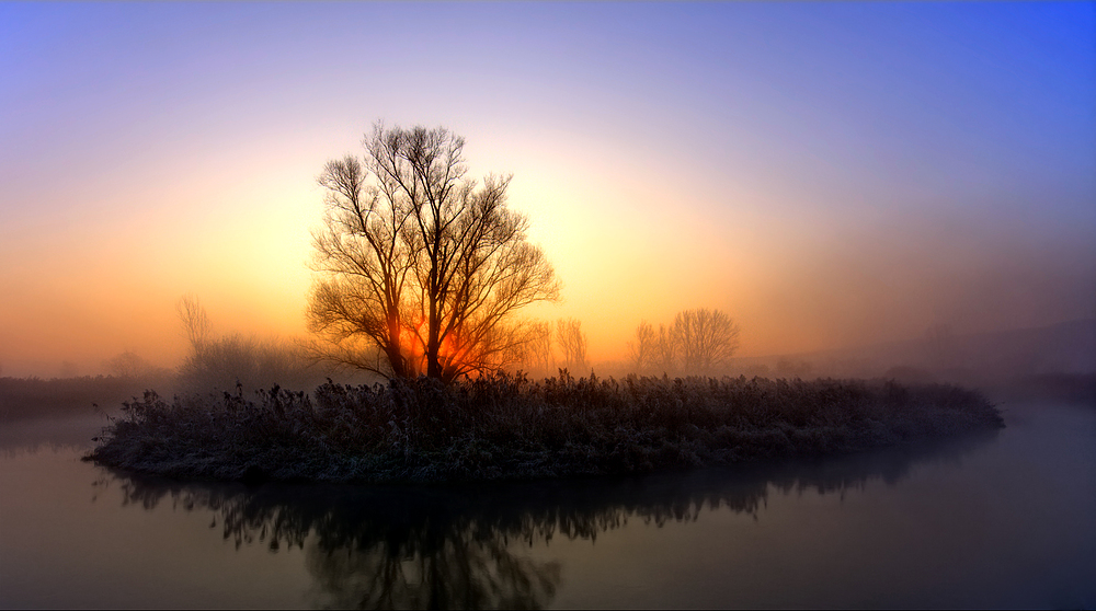 Sonnenaufgang im Ried