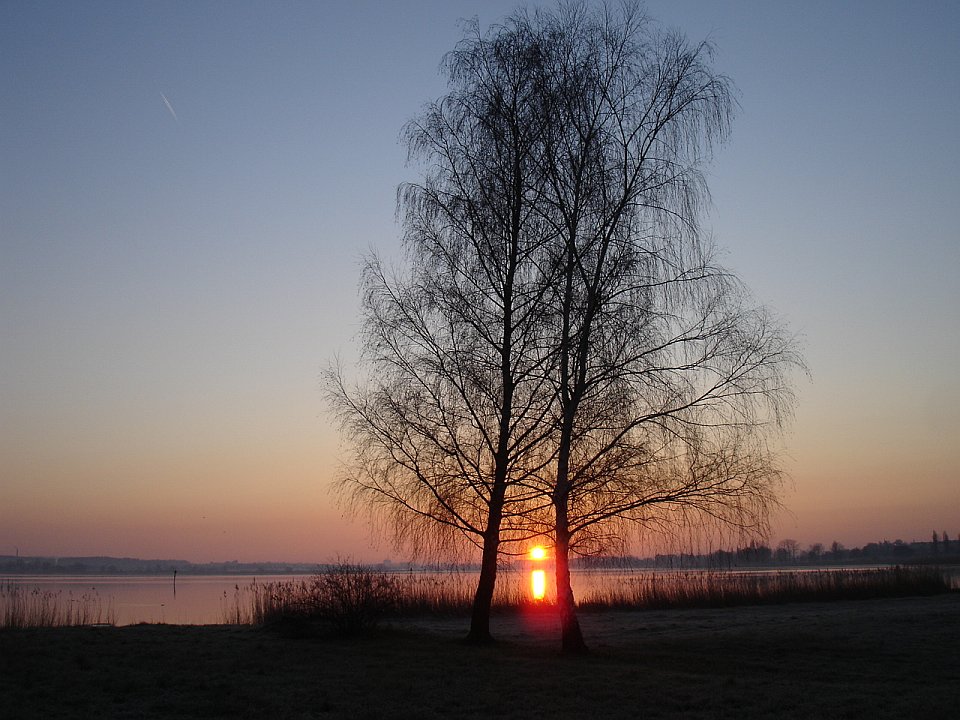 Sonnenaufgang im Ried