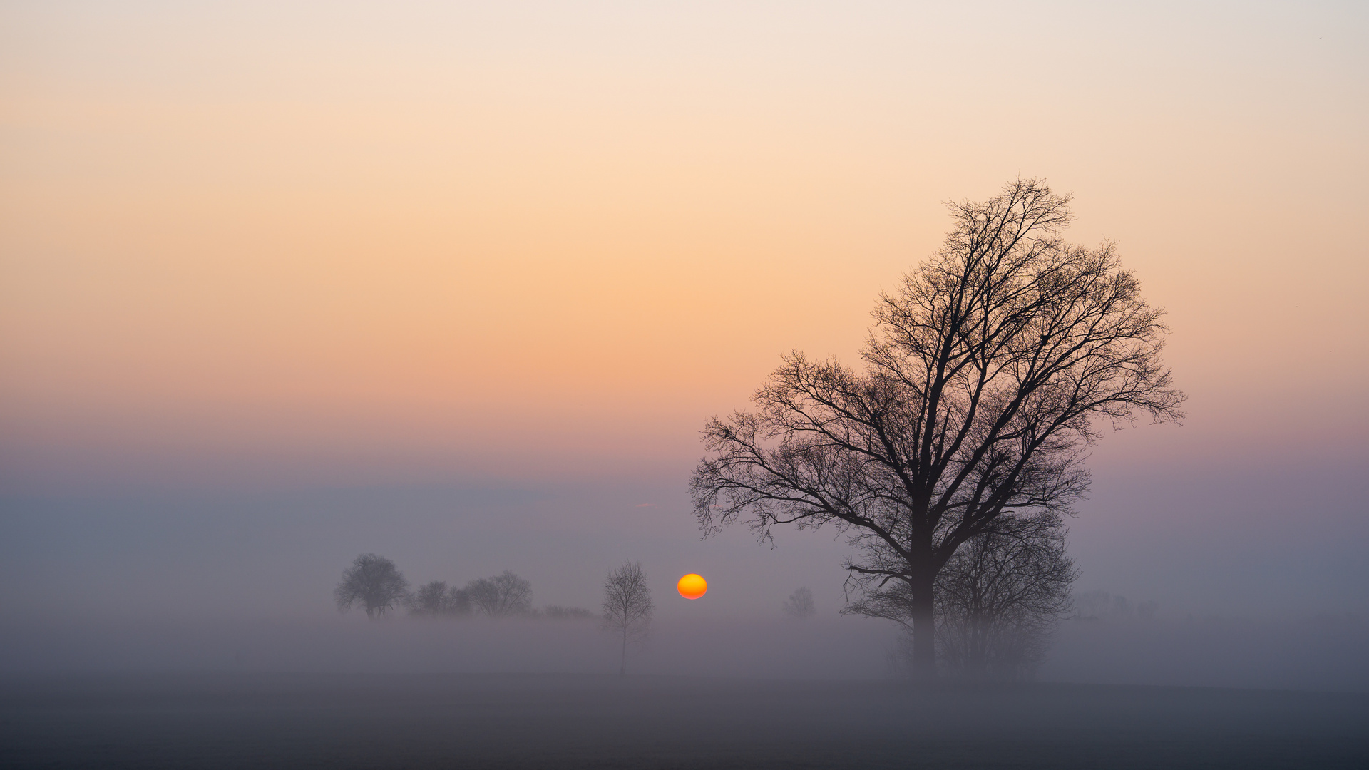 Sonnenaufgang im Ried