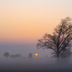 Sonnenaufgang im Ried