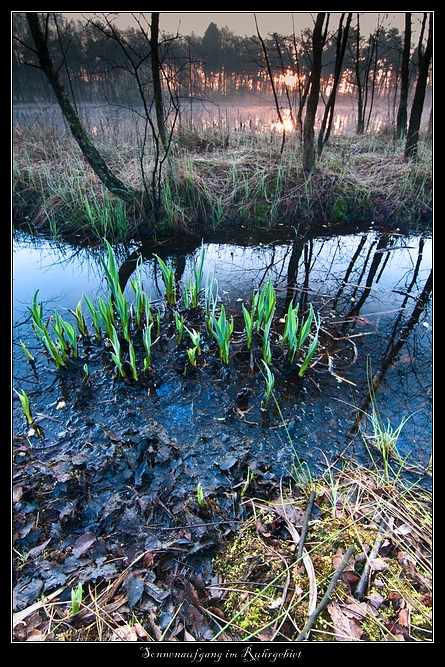 Sonnenaufgang im Ruhrgebiet