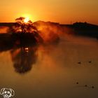 Sonnenaufgang im Ruhrtal