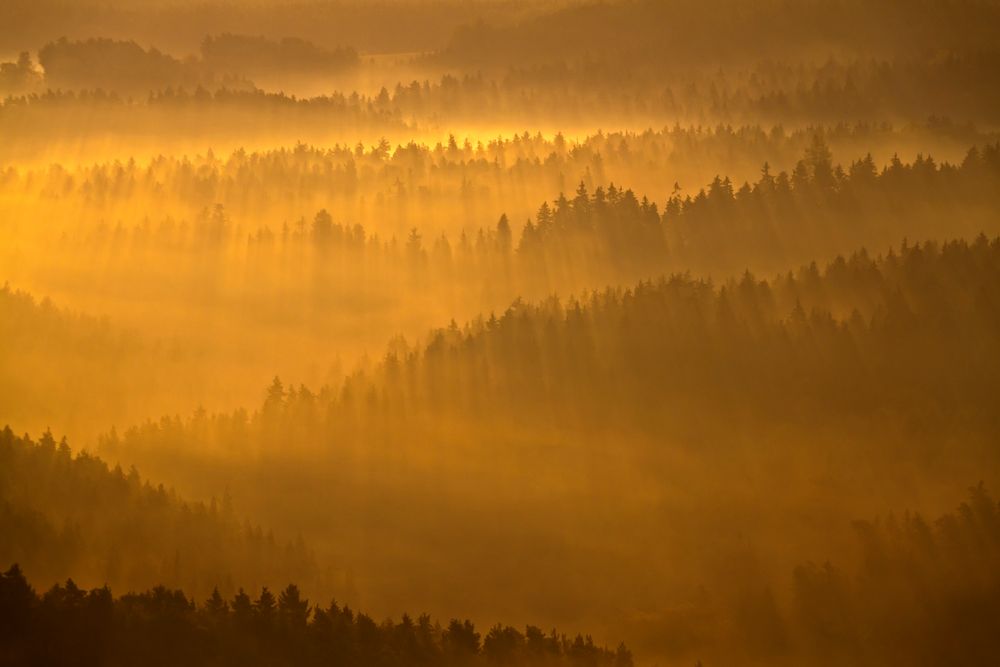 Sonnenaufgang im Saale-Holzlandkreis