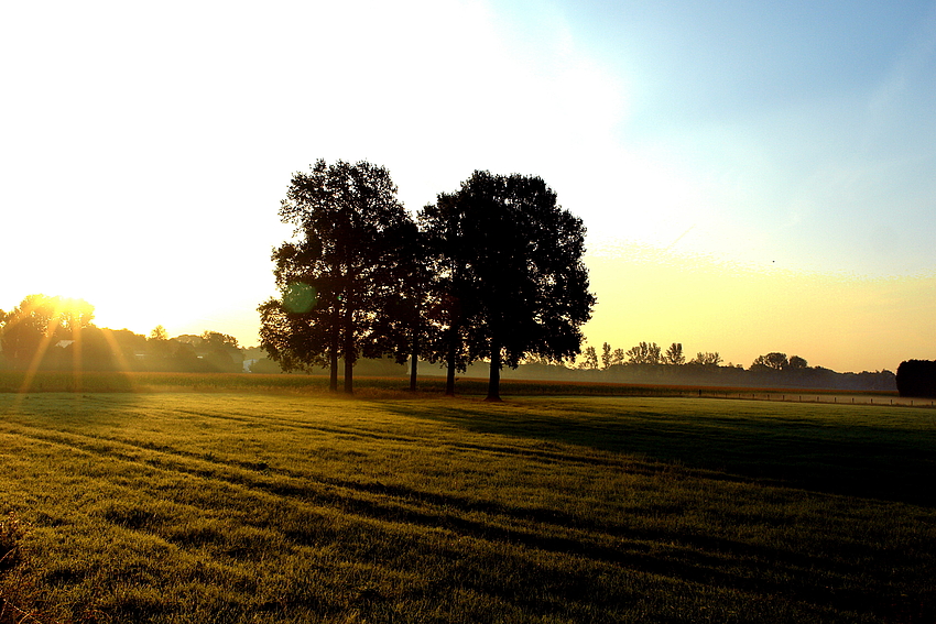 Sonnenaufgang im Sandbruch bei Rheurdt