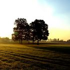 Sonnenaufgang im Sandbruch bei Rheurdt