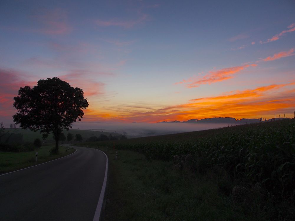 Sonnenaufgang im Sauerland