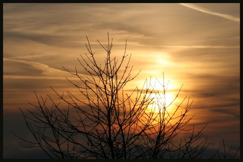 SONNENAUFGANG IM SAUERLAND